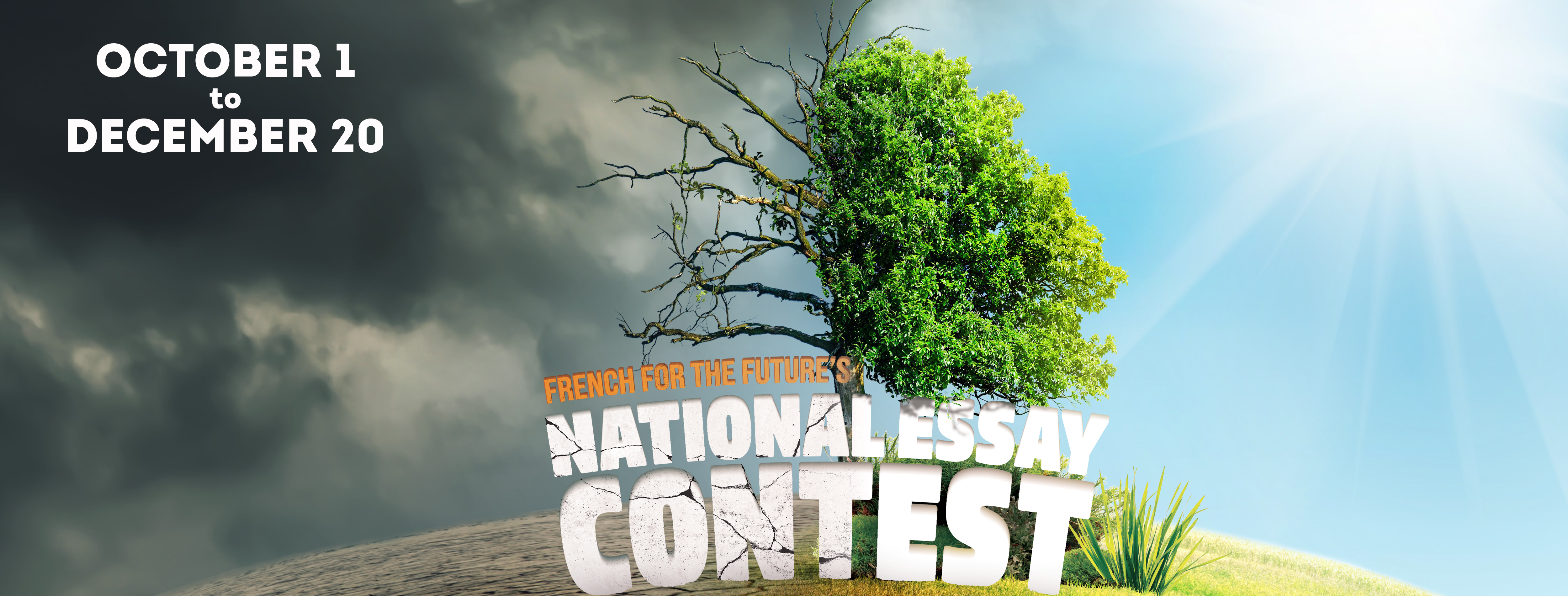 national essay contest french for the future